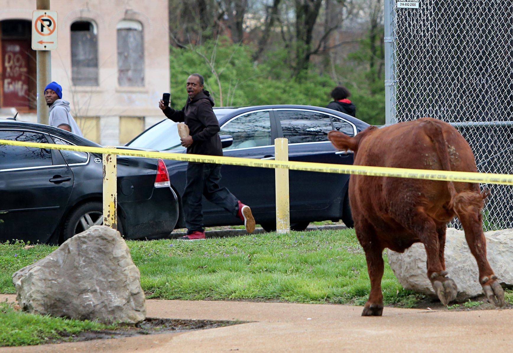 Steer breaks for freedom
